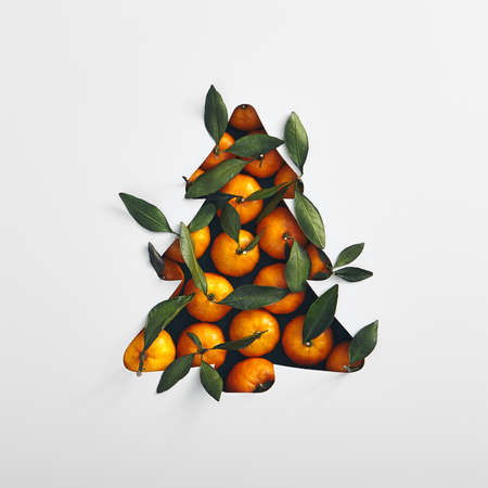 Christmas minimal concept - xmas tree silhouette made with fresh tangerine. Square composition, flat lay, view from above. Merry christmas background.の写真素材