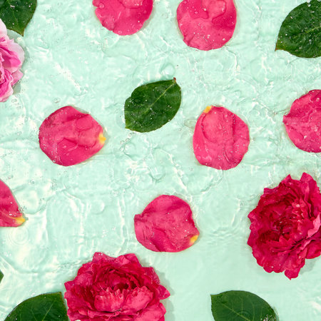 Summer creative background with blue water and rose petal. Flower petal and leaf over turqoise background. Pink, green and blue color layoutの写真素材