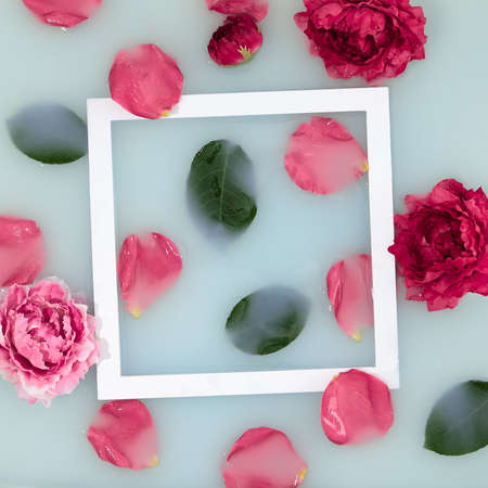Bath with rose petal background. Flat lay with flower petal and green leaf. Creative wellness layout with white frameの写真素材