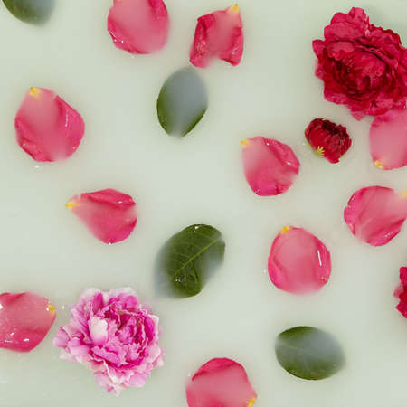 Bath with rose petal background. Flat lay with flower petal and green leaf. Abstract spa with milk and flower. Creative wellness layoutの写真素材