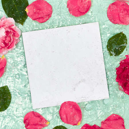 Summer creative background with blue water and rose petal. Flower petal and leaf with white paper blank. Pink, green and white color layoutの写真素材