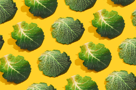 Cabbage leaves on yellow background. Savoy cabbage minimal horizontal pattern. Garden, spring, summer, grow concept.の写真素材