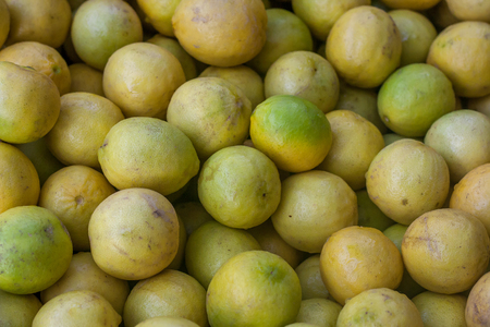 The close up of Lemon / Limeの写真素材