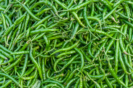 The close up of green chillies bunchの写真素材
