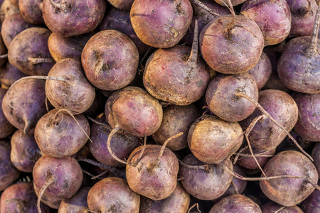 The close up of beet root background / texture