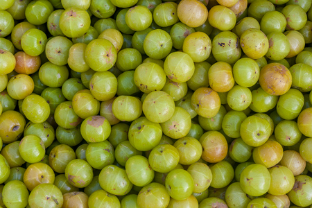 Background / Texture of fresh vegetable fruitsの写真素材