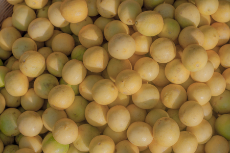 The close up of Lemon / Limeの写真素材