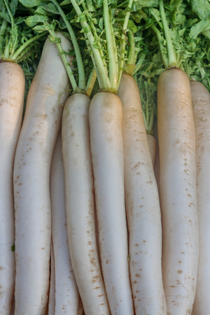 the close up of fresh Radishes background / textureの写真素材