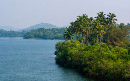 Coconut trees with Lake on coastal Maharashtra, Sindhudurgの写真素材