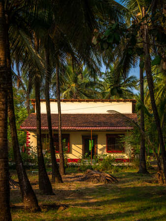SeagullsÂ flying above blueÂ  Arabian sea at Tarkarli, Malvanの写真素材