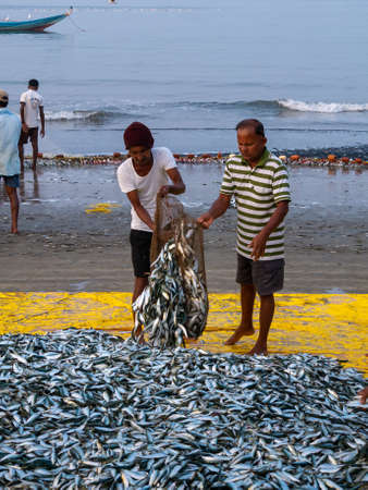 Malvan, India - December  20, 2021 : Indian fishermen with freshly catched fish and fishing net at the seashore.のeditorial素材