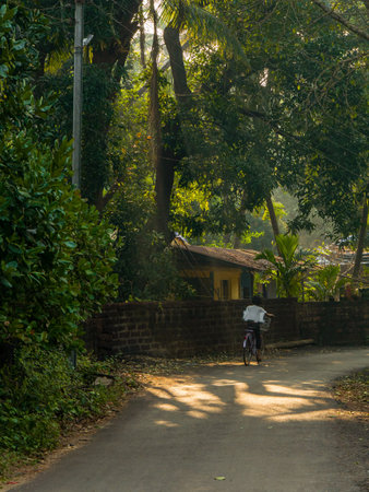 Malvan, INDIA - December 19, 2021 : Unidentified girl riding a bicycle in a Picturesque lane of a small Indian village in Konkan surrounded by coconut trees.のeditorial素材