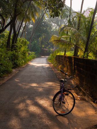 Malvan, INDIA - December 19, 2021 : Female bicycle standing on a road in a Picturesque lane of a small Indian village in Konkan surrounded by coconut trees. Vertical or portrait orientation.のeditorial素材