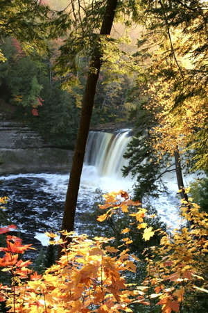 scenic tahquamenon falls during autumn time in michigan upper peninsulaの写真素材