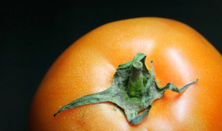 An abstract of single tomato on a black bakgroundの写真素材