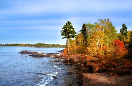 Colorful trees at Michigan lake shoreurin autumn timeの写真素材