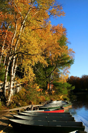 Row of boats at lake shore during autumn timeの写真素材