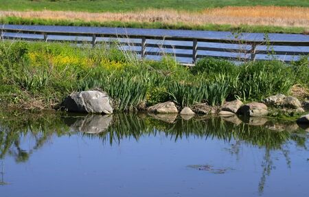 Small pond in the middle of farmの写真素材