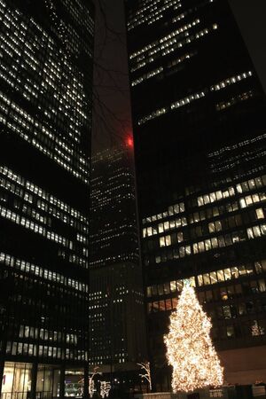 christmas tree between high rise buildings in toronto downtownの写真素材