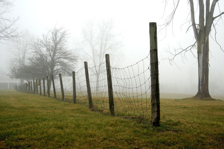 foggy day in a park in the winter morningの写真素材
