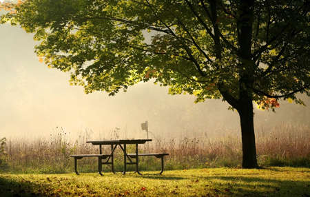 Picnic table in the park during early morning sun lightの写真素材