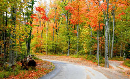 Autumn Drive Wayの写真素材