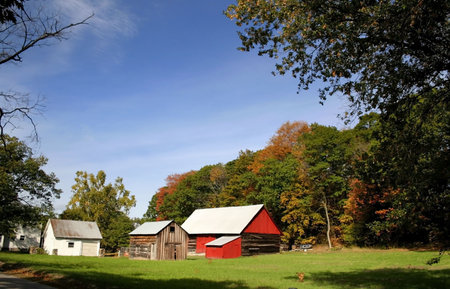Red Barn