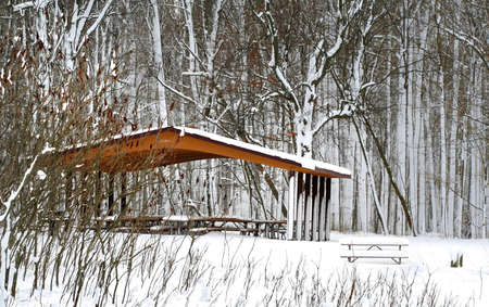 Picnic Shelter In The Parkの写真素材