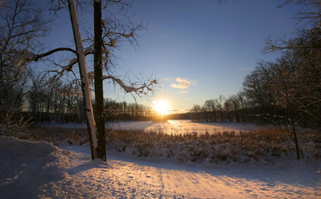 Winter Sun Setの写真素材