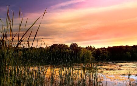 Scenic Lake In Michiganの写真素材