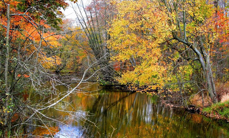 Autumn Landscape