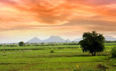 Scenic Landscape In Indiaの写真素材