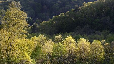 Scenic Spring Time Landscapeの写真素材