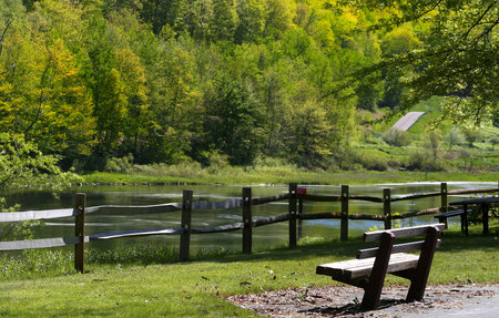 Spring Landscape