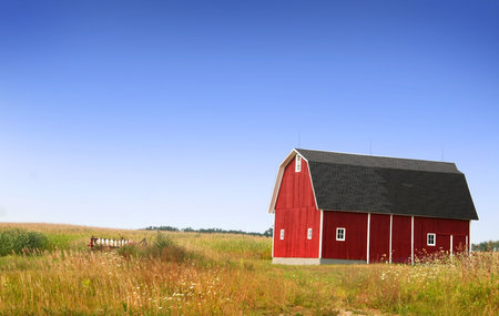 Farm Landscape