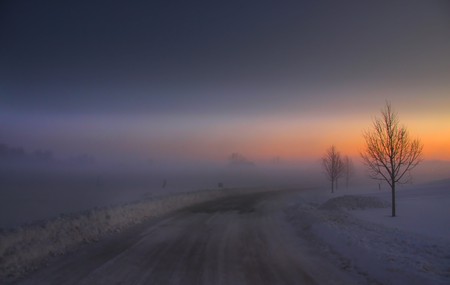 Foggy Morningの写真素材