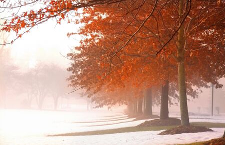 Winter Landscapeの写真素材