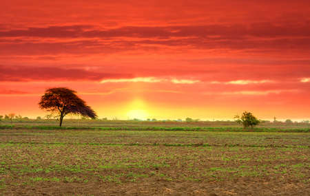Indian Landscapeの写真素材