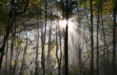 Morning Sun Raysの写真素材