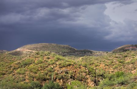 Desert landscape on a cloudy dayの写真素材