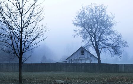 Mystic landscapeの写真素材