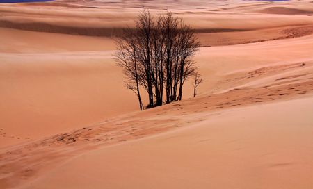 Desert landscsapeの写真素材