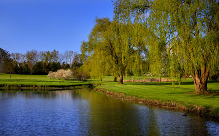 Scenic landscape