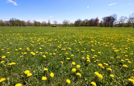 Spring landscapeの写真素材