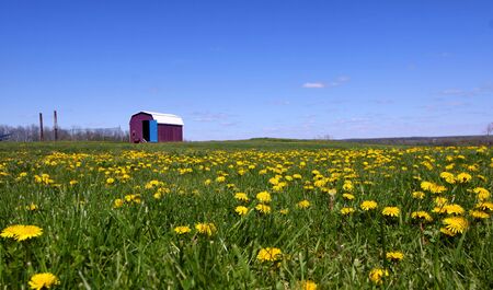 Spring landscapeの写真素材