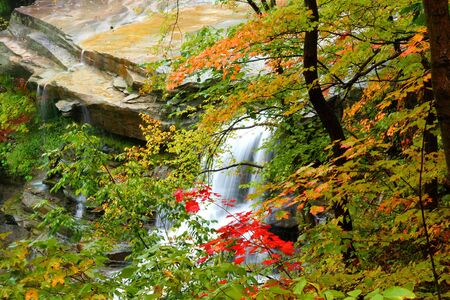 Brandywine water fallsの写真素材