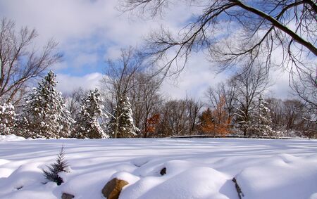 Scenic winter landscape on a cloudy day in Michiganの写真素材