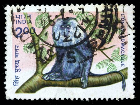 INDIA - CIRCA 1983: A stamp printed in India (present time India) shows Lion tailed Macaque, circa 1983の写真素材