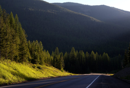 Road in Glacier national parkの写真素材