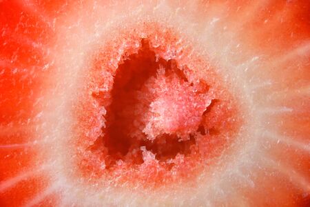 Macro shot of strawberry cut section detailsの写真素材